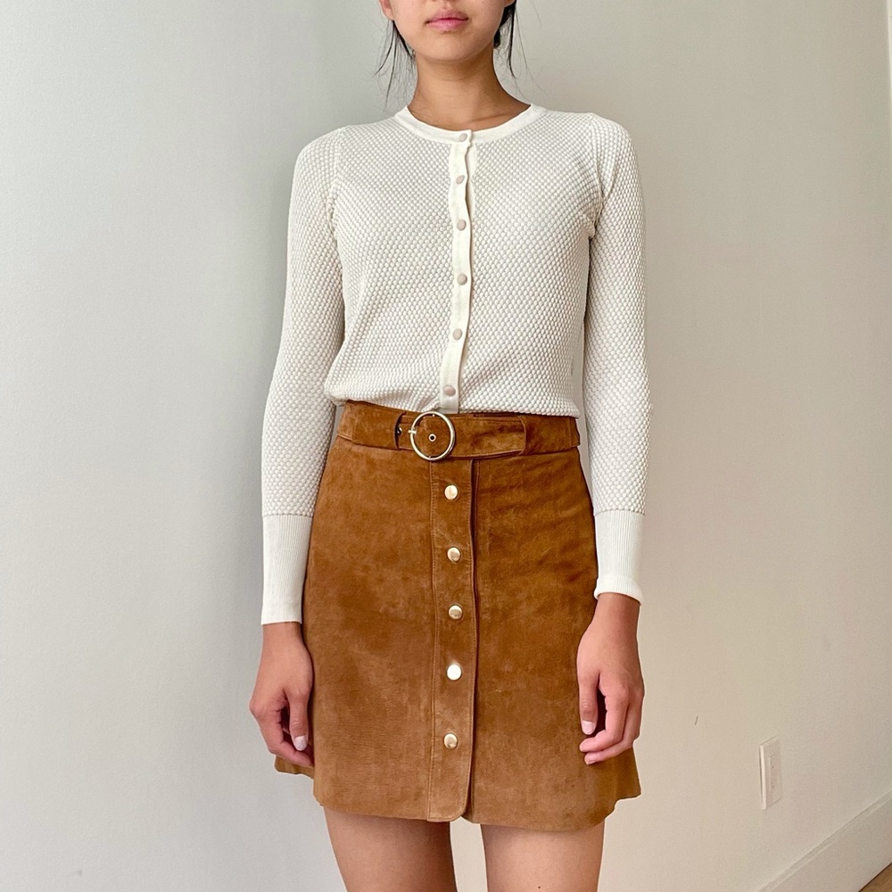 Zara Button Down Skirt